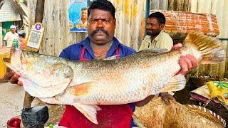 KASIMEDU  SPEED SELVAM | 12 KG BIGG GOLD KODUVA FISH CUTTING VIDEO | IN KASIMEDU | FF CUTTING 