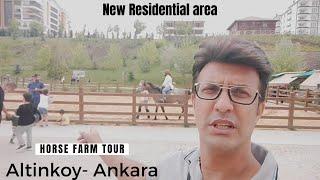 Ankara Tour - Visit to Altinkoy Horse Farm l Altinkoy Newly Developed Residential area of Ankara