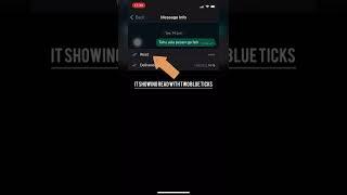 Trick For Knowing if Your Whatsapp Message is Read Even When Read Receipt Is Turned Off