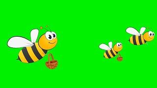 Bee cartoon green screen [No copyright]