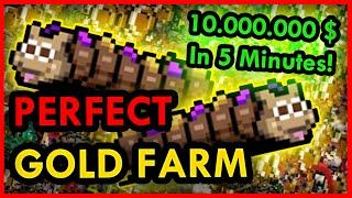 10 MILLION GOLD IN 5 MINUTES! - Fully Optimized GOLD FARM GUIDE!