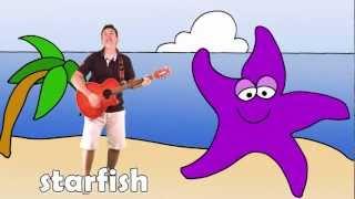 Let's Go To The Beach | Learn Sea Animals