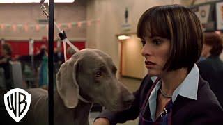 Best in Show | Get The Busy Bee | Warner Bros. Entertainment