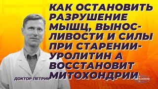 Как остановить разрушение мышц, выносливости и силы при старении. Уролитин А восстановит митохондрии