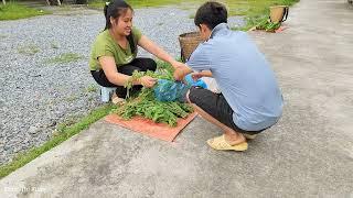 Husband and wife: Harvest vegetables and squash to sell, clean the yard of the house |Chúc Thị Xuân