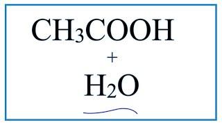 CH3COOH + H2O  (Ethanoic acid plus Water)