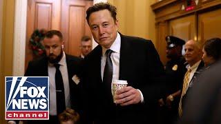 'SERIOUSLY?!': Dems mocked for new meltdowns over Elon Musk