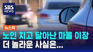 노인 치고 달아난 마을 이장, 더 놀라운 사실은… / SBS / 뉴스딱