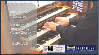  Beloved Bach | wk 39 - 'Bist du bei mir' (from the Anna Magdalena Clavier Book) BWV 508