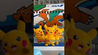 I Bought a PIKACHU JET and Flew Across the Country