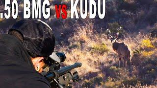 .50 BMG Kudu Hunt | South Africa