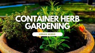 Herb Container Gardening for a new home