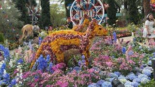 The Famous Flower Dome At Gardens By The Bay Singapore  #travel #amazing #bestdestination