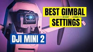 Best DJI Mini 2 Gimbal Settings (and Yaw) for Cinematic Footage