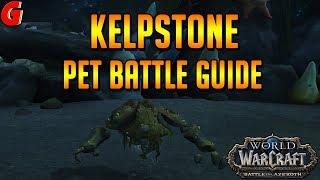 Kelpstone Pet Battle Guide - BFA