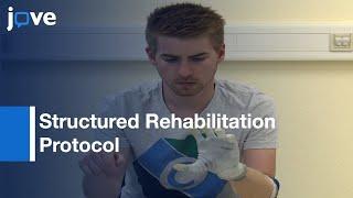 Structured Rehabilitation Protocol: Improved Multifunctional Prosthetic Control l Protocol Preview