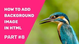 How To Add Background Image In HTML Using Notepad ++ | HTML Images