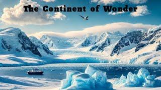 Discover the Wonders of Antarctica! ️