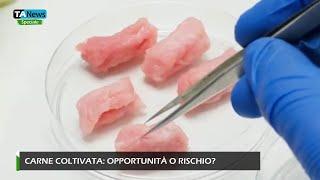 Carne coltivata: opportunità o rischio? L'inchiesta di Teleambiente