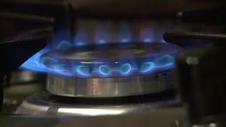 European gas prices hit all-time high • FRANCE 24 English