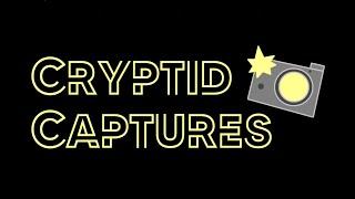 New Cryptic Captures Trailer has dropped. And it looks fun