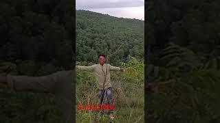 SANTALI #shorts video2021