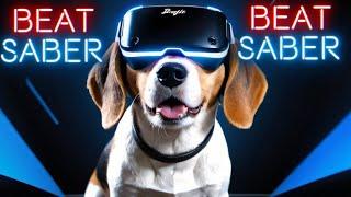 Beat Saber Beagle! A Tribue To Techbutterfly Maps and also America! Stream Highlights