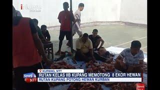 iNews NTT - Idul Adha 1444 H, Rutan Kupang Sembelih 8 Ekor Hewan Kurban