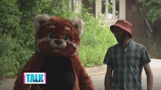 Boaz meets Pittsburgh's newest mascot, Ruby the Red Panda