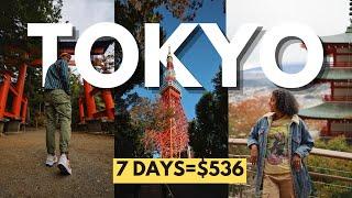 TOKYO Like You've Never Seen Before | 2024 Tokyo JAPAN Travel Guide 