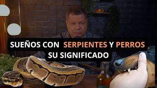 Los perros y serpientes en tus sueños que significan | Pastor Isaac Pimentel