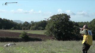 PHEASANT HUNTING _ POINTING DOGS _ 7TH ITALIAN CHAMPIONSHIP ITALCACCIA