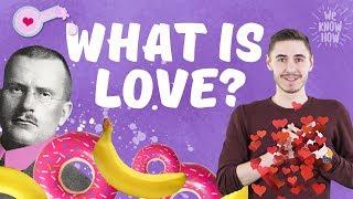 How it works: The Chemistry of Love | WeKnowHow