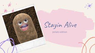 Stayin' alive - potato edition