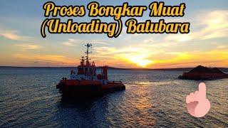 Coal Unloading Process (Proses Bongkar Muat Batubara)