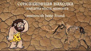 найдена кость мамонта#mammoth bone found#sensation