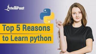 Top 5 Reasons to Learn Python | Python Programming Tutorials
