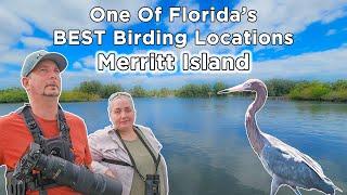 One of Florida's BEST BIRDING Locations: Merritt Island National Wildlife Refuge