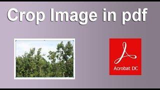 How to crop image in pdf document using Adobe Acrobat Pro