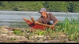 ASTAGA!!! Ganasnya Tarikan Ikan Bawal Besar Mancing Di Sungai Ini #SA-205