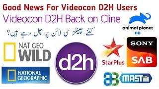 Good News For Videocon D2H Users||Videocon D2H Back on Cline||All Channels Working..?