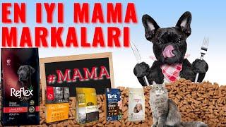 En İyi Köpek ve Kedi Maması Seçimi (DİKKAT EDİLMESİ GEREKENLER) #KÖPEK #KEDİ #KÖPEKVEKEDİMAMASI