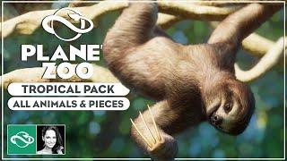 ▶ Planet Zoo Tropical Pack: All Animals & All Pieces Overview | New DLC Features & Gameplay