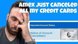 Amex Platinum, Gold, Delta Gold, Blue Cash Everyday, Business Plus