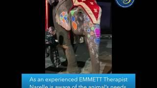 The EMMETT Technique and the Elephant