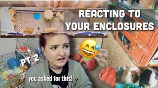 REACTING to my subs GUINEA PIG enclosures PT 2!!! 