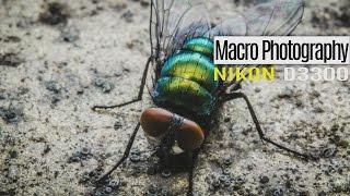 Nikon D3300 Macro Photography - Slideshow