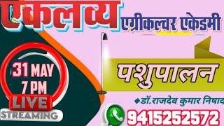 Animal Husbandry By- Dr. Rajdev Kumar Nishad