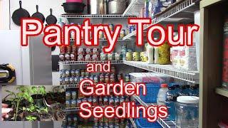 Pantry Organizing and Declutter   --   Garden Seedlings Update