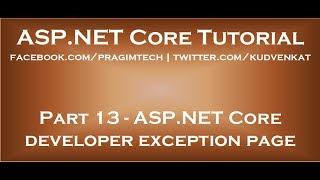 ASP NET Core developer exception page